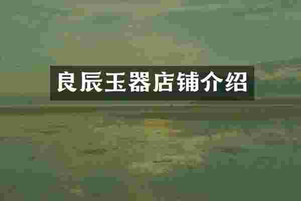 良辰玉器店铺介绍