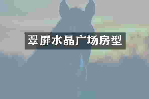 翠屏水晶广场房型