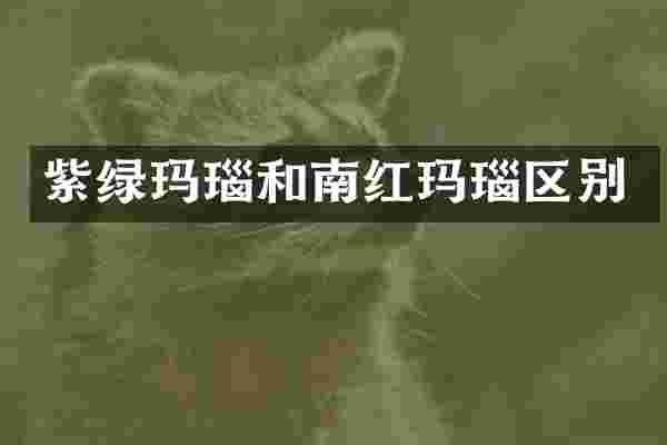 紫绿玛瑙和南红玛瑙区别