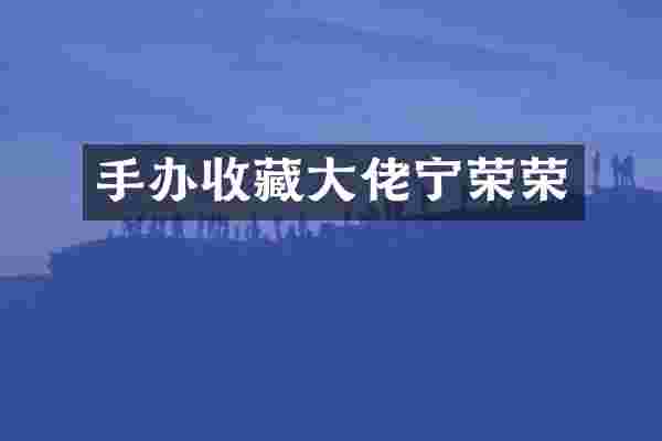 手办收藏大佬宁荣荣