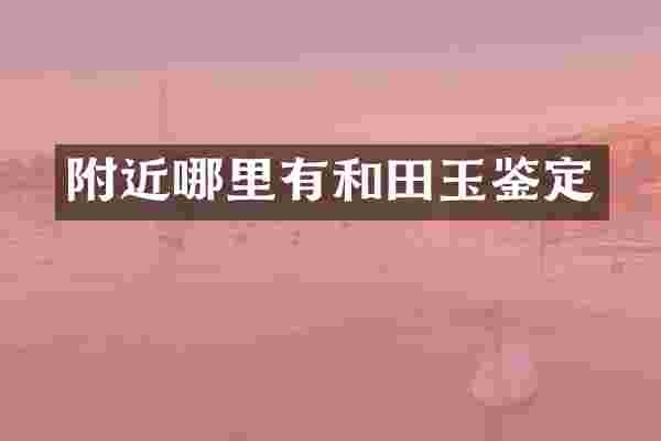 附近哪里有和田玉鉴定