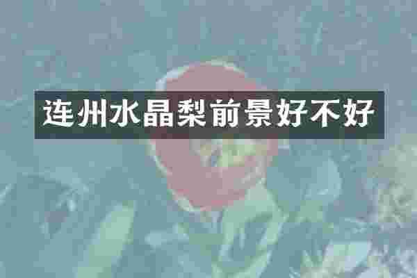 连州水晶梨前景好不好