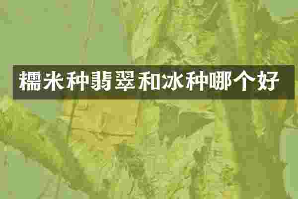 糯米种翡翠和冰种哪个好