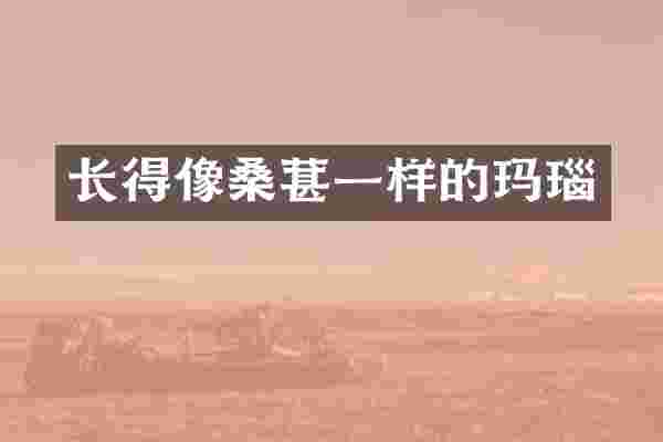 长得像桑葚一样的玛瑙