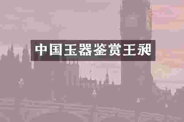 中国玉器鉴赏王昶