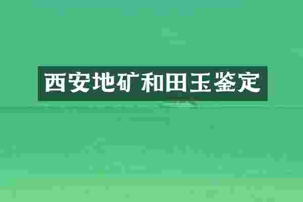 西安地矿和田玉鉴定