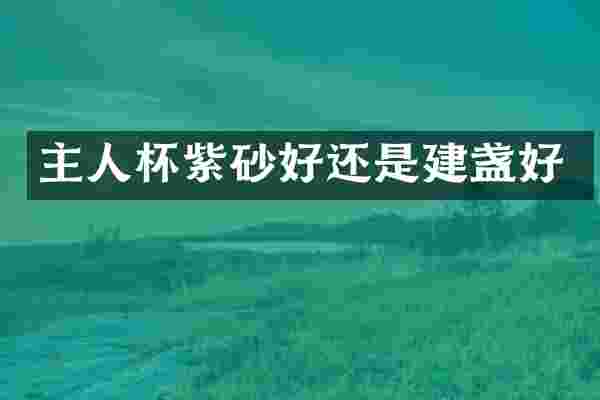 主人杯紫砂好还是建盏好