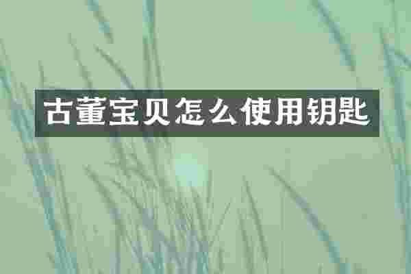 古董宝贝怎么使用钥匙