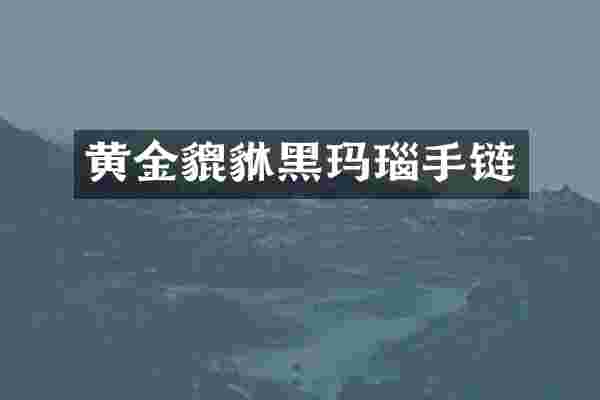 黄金貔貅黑玛瑙手链