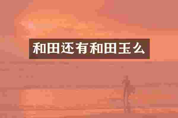 和田还有和田玉么