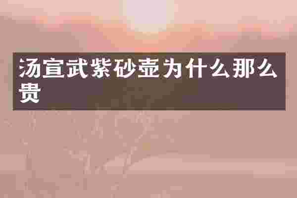 汤宣武紫砂壶为什么那么贵