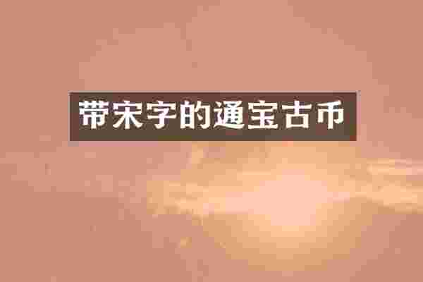 带宋字的通宝古币