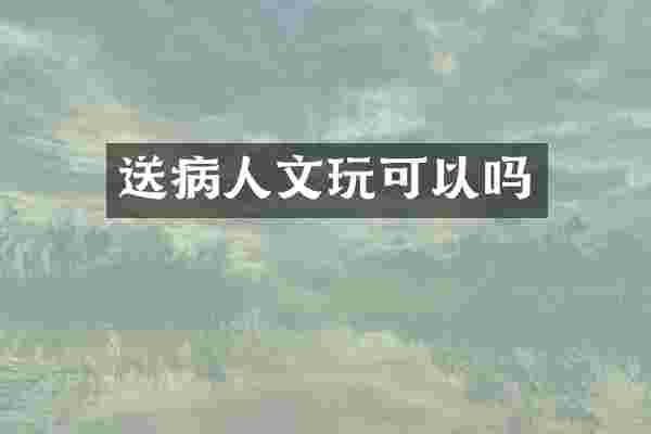 送病人文玩可以吗