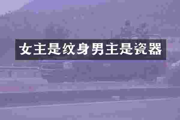 女主是纹身男主是瓷器