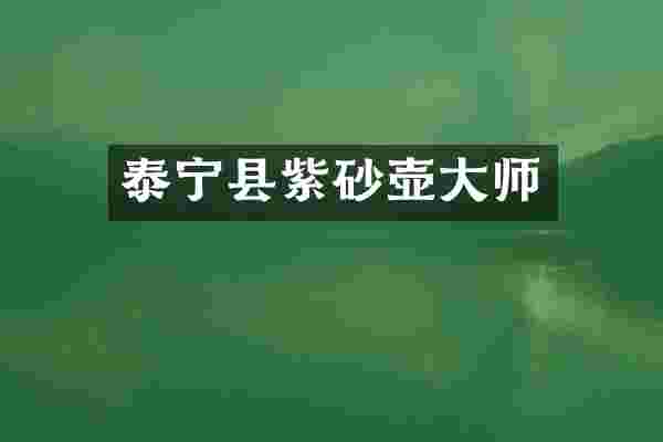 泰宁县紫砂壶大师