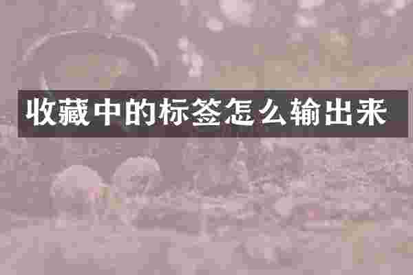 收藏中的标签怎么输出来