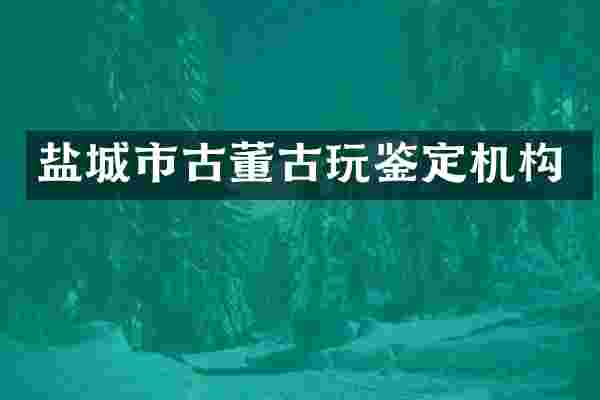 盐城市古董古玩鉴定机构
