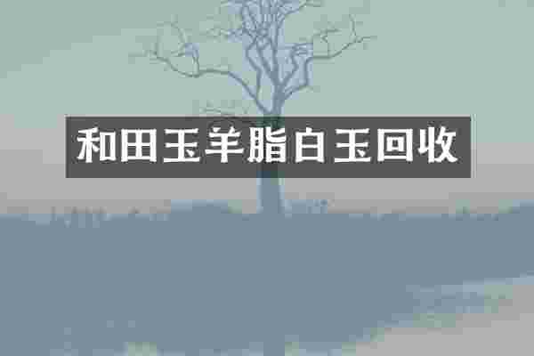 和田玉羊脂白玉回收