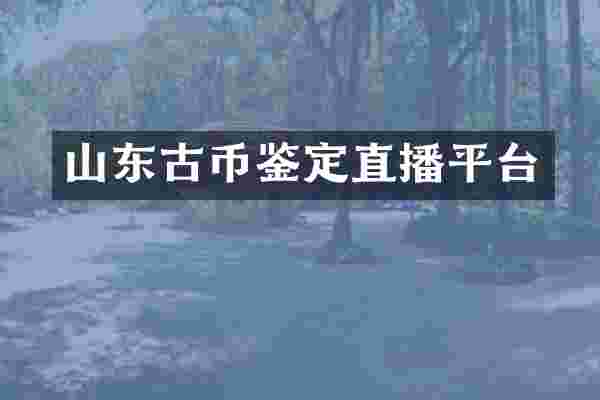 山东古币鉴定直播平台