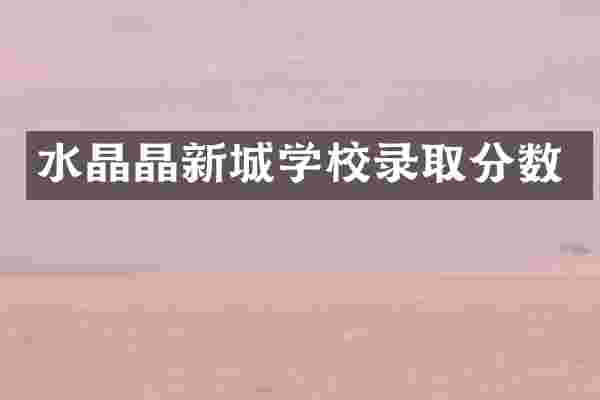 水晶晶新城学校录取分数