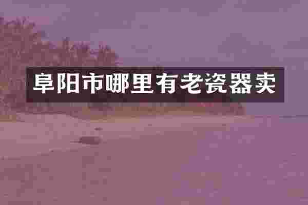阜阳市哪里有老瓷器卖