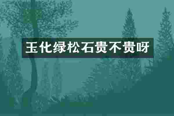 玉化绿松石贵不贵呀