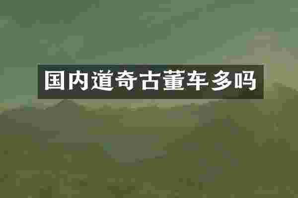 国内道奇古董车多吗