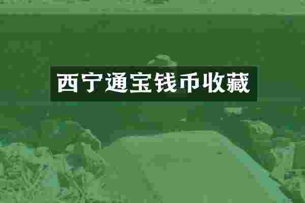 西宁通宝钱币收藏