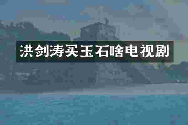 洪剑涛买玉石啥电视剧