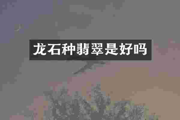 龙石种翡翠是好吗