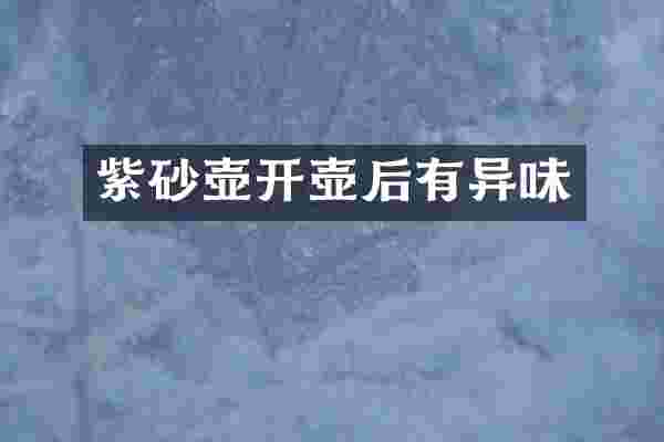 紫砂壶开壶后有异味