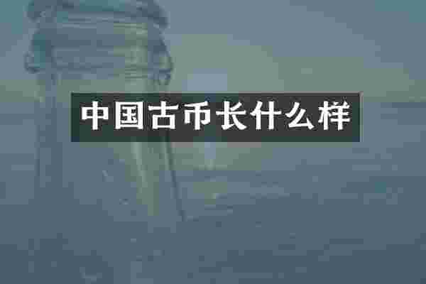中国古币长什么样
