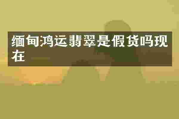 缅甸鸿运翡翠是假货吗现在