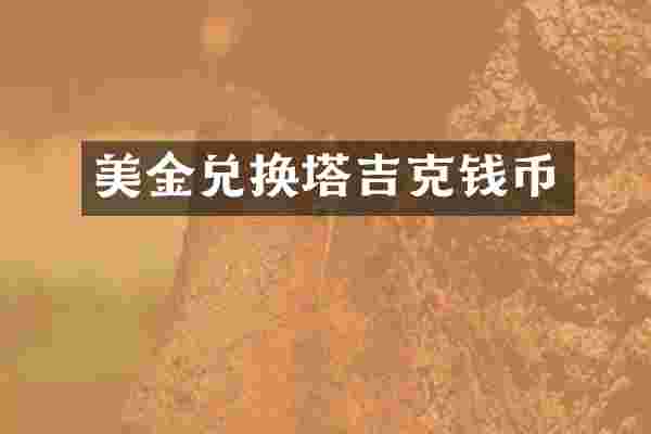 美金兑换塔吉克钱币