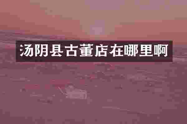 汤阴县古董店在哪里啊