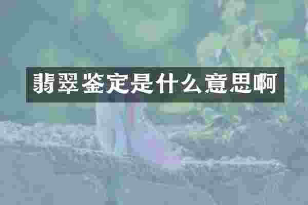 翡翠鉴定是什么意思啊