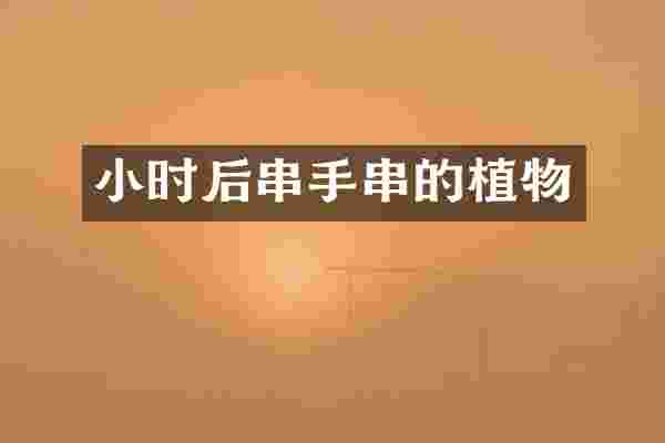 小时后串手串的植物