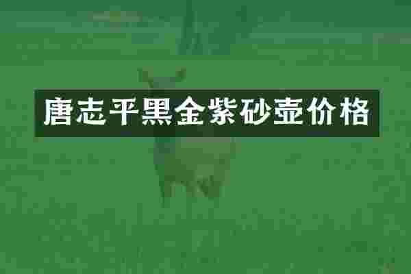 唐志平黑金紫砂壶价格