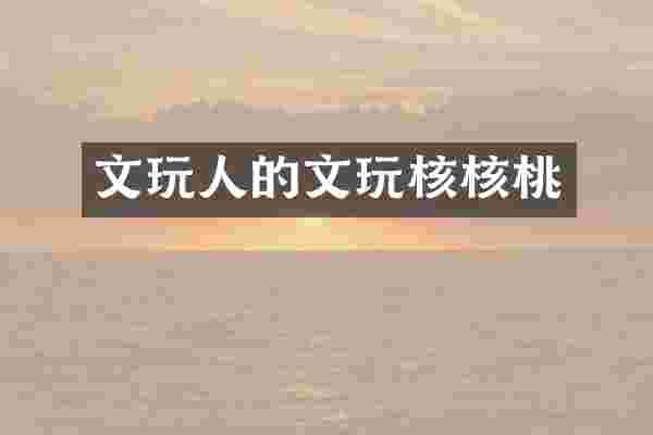 文玩人的文玩核核桃