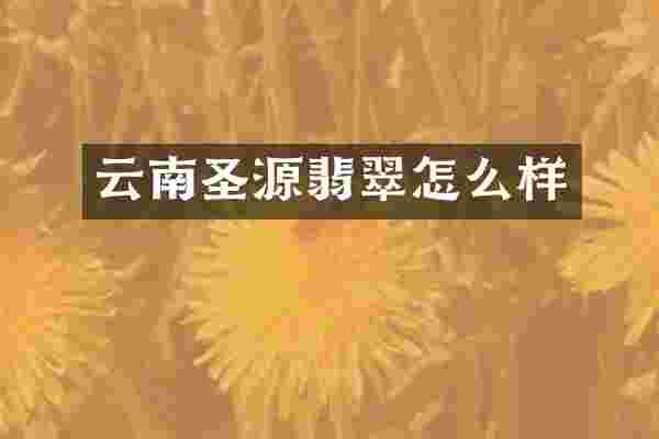 云南圣源翡翠怎么样