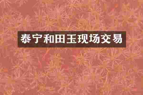 泰宁和田玉现场交易