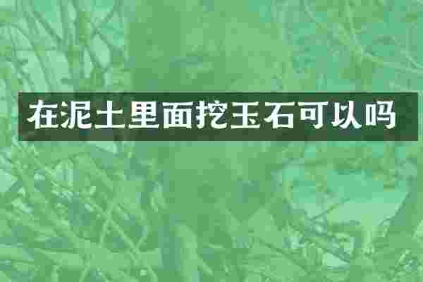 在泥土里面挖玉石可以吗