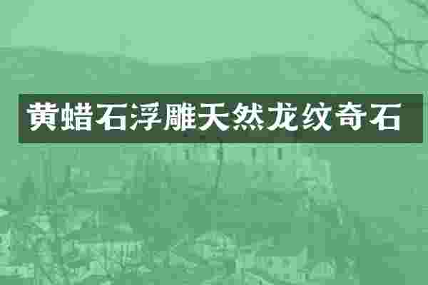 黄蜡石浮雕天然龙纹奇石