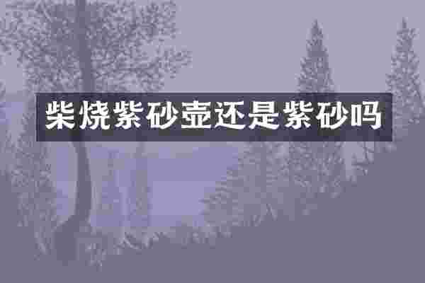 柴烧紫砂壶还是紫砂吗
