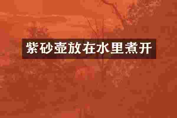 紫砂壶放在水里煮开