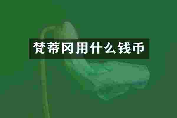 梵蒂冈用什么钱币