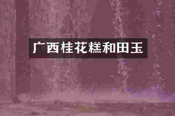 广西桂花糕和田玉