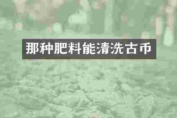 那种肥料能清洗古币