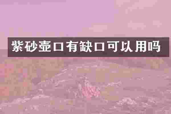 紫砂壶口有缺口可以用吗