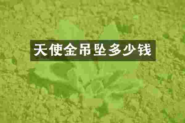 天使金吊坠多少钱